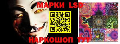 гидра Новозыбков