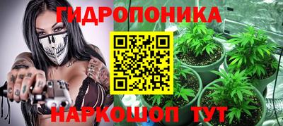 гидра Новозыбков