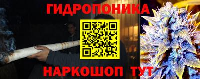 гидра Новозыбков