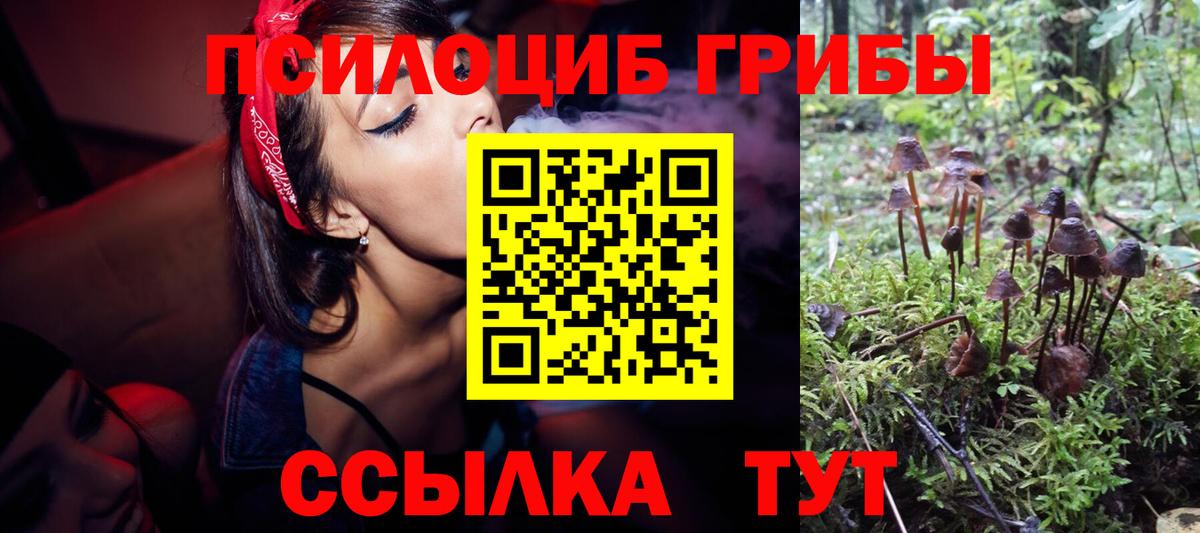 Галлюциногенные грибы ЛСД  Вход с VPN  Сердобск 