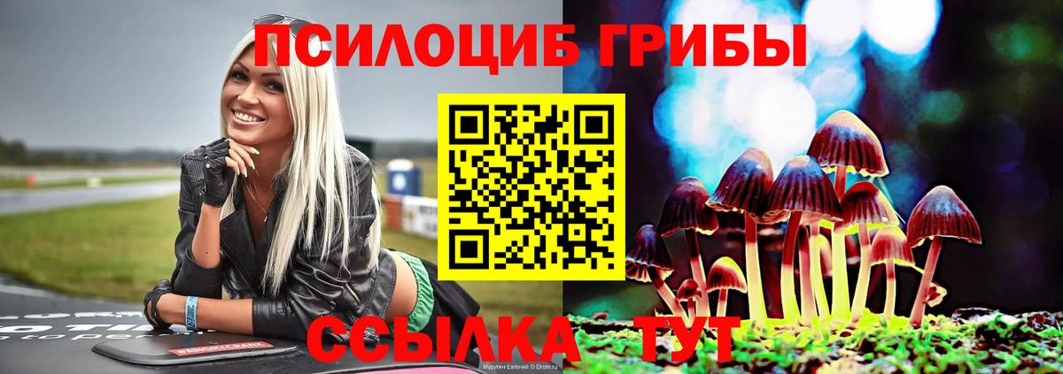 Галлюциногенные грибы MAGIC MUSHROOMS Сердобск